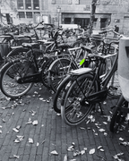 BLOQ TAG - Limited Edition Keychain